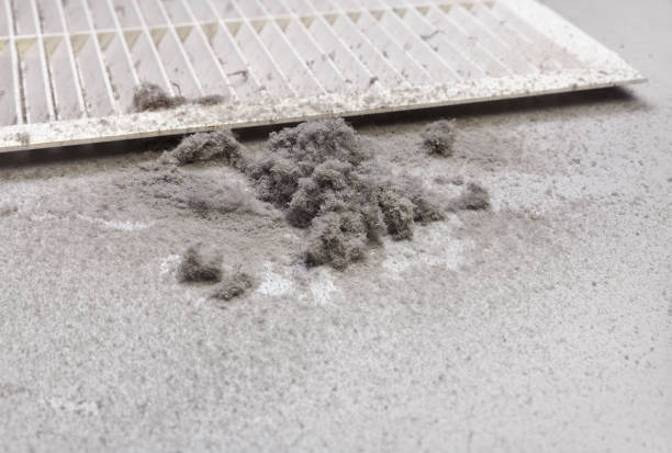 Best Commercial HVAC Duct Cleaning  in Morrison, IL