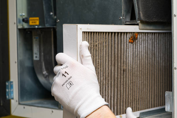 Best Ductwork Cleaning Services  in Morrison, IL