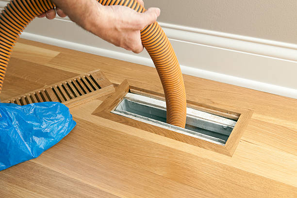 Air Duct Mold Removal in IL