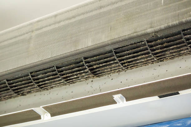 Best Local Air Duct Cleaning Services  in Morrison, IL